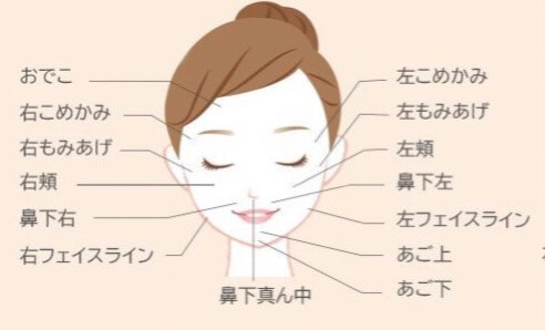 ストラッシュ やめたほうがいい